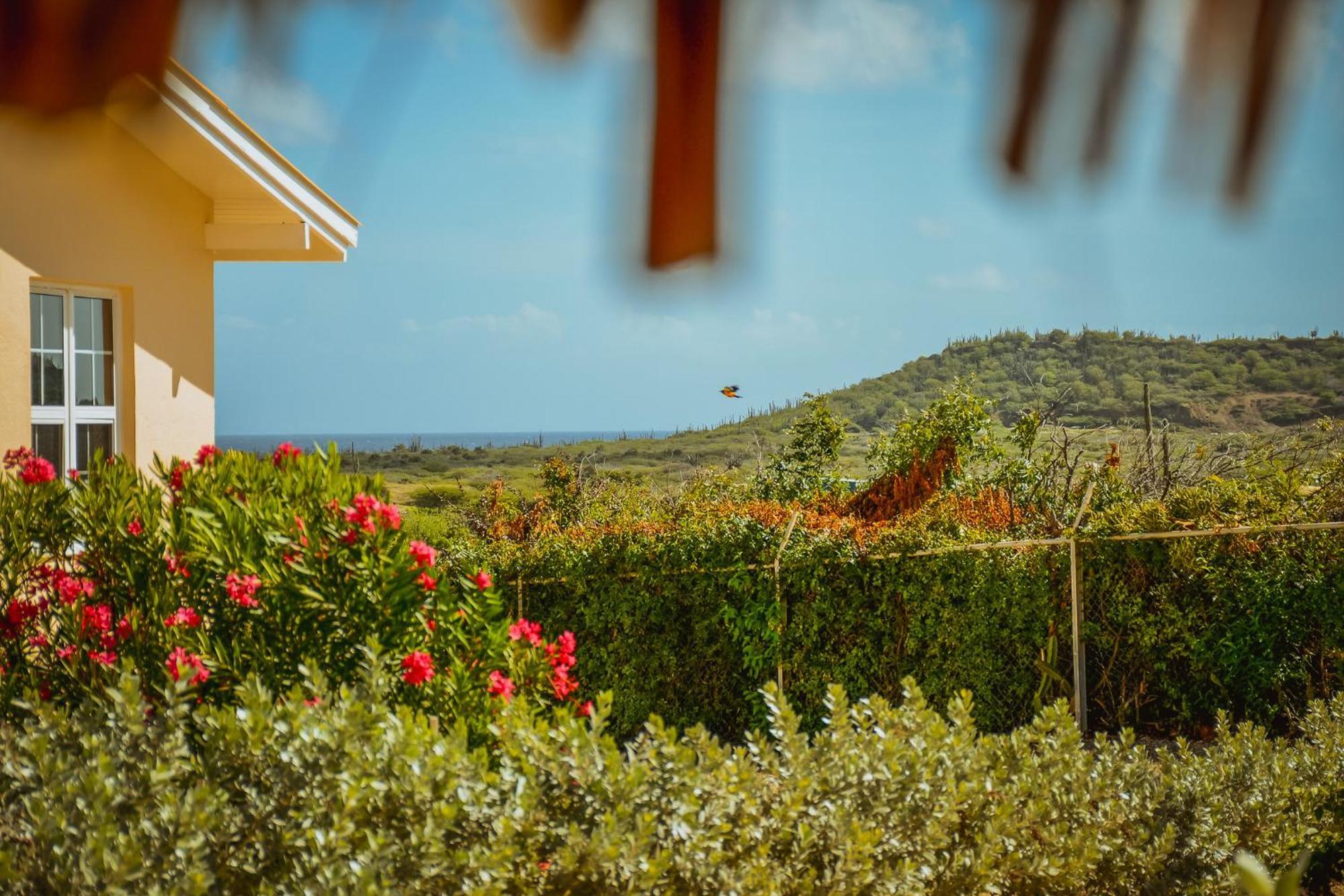 Santa Catharina Resort - Casa Samson 빌렘스타트 외부 사진